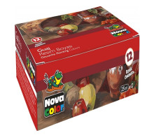 Vopsele guașe, 12 culori, 30ml NOVA COLOR NC-461 (24)