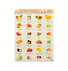 Плакат "Fructe exotice" P*2425 (100)