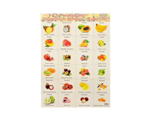 Плакат "Fructe exotice" P*2425 (100)