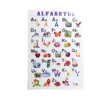Alfabet carton Roman 64 х 47cm, P*1268 (100)