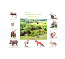 Poster animale salbatice P*2319
