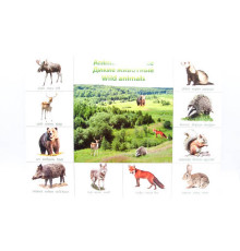 Poster animale salbatice P*2319