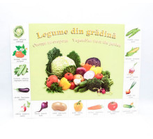 Poster legume P*2166