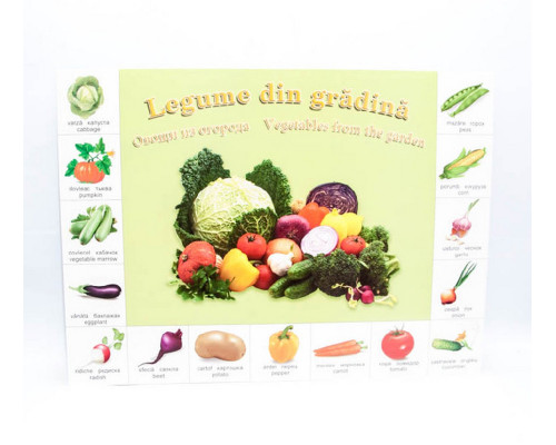Poster legume P*2166