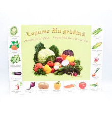 Poster legume P*2166