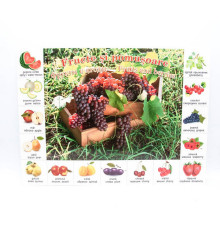 71357 Плакат фрукты P*2326