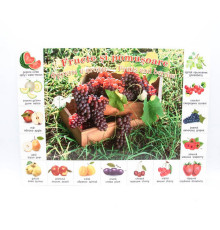 Плакат фрукты P*2326