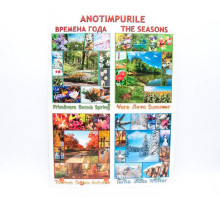 Poster anotimpuri P*2142 (100)