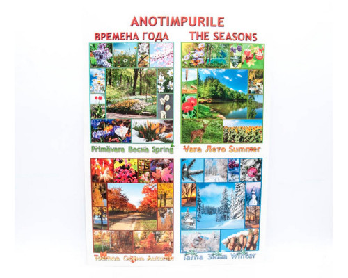 Poster anotimpuri P*2142 (100)