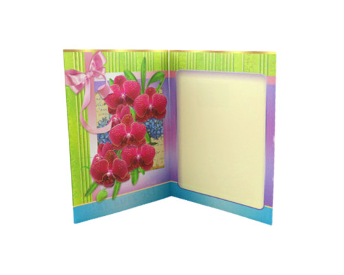 Felicitari duble diverse N