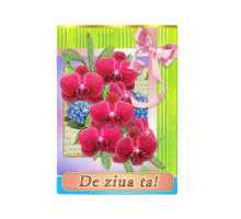 Felicitari duble diverse N