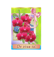 Felicitari duble diverse N