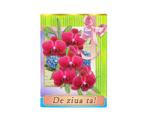 Felicitari duble diverse N