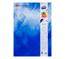 Папка для акварели А3 20 лист. "Я-Художник" 220451844 (40)