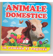 Mini-carte cartonata rom/engl. Animale domestice N*5176