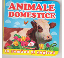 Mini-carte cartonata rom/engl. Animale domestice N*5176