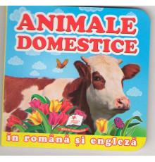 64181 Mini-carte cartonata rom/engl. Animale domestice N*5176