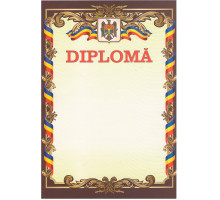 Diploma А4 cu chenar cafeniu cu tricolor U06 (100)