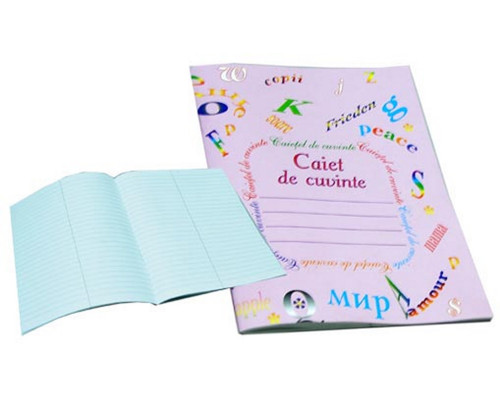 Тетрадь - словарь 2 отделения P*1787 (50)