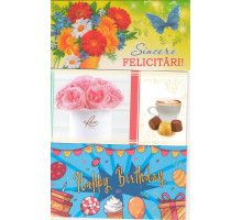 Felicitari diverse(plic)