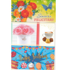 Felicitari diverse(plic)