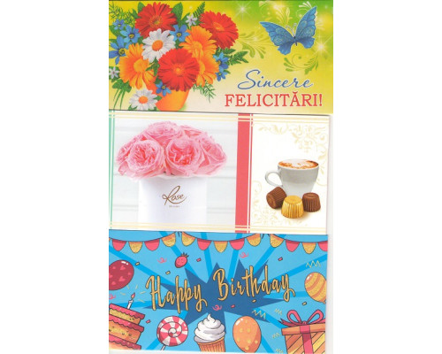 Felicitari diverse(plic) Felicitari diverse(plic)