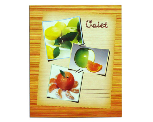 Тетрадь 36 листов картонная обложка линия, P*1329 (60)