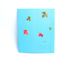 Сaiet 12 file cop carton, P*1305(100)