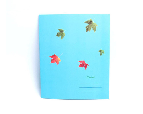Сaiet 12 file cop carton, P*1305(100) Сaiet 12 file cop carton, P*1305(100)