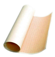 Hirtie milimetrica A1 P*3057