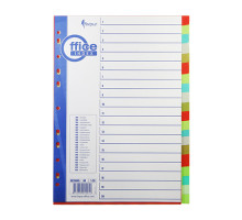 Indexuri plastic A4, 20 culori, nenumerotate FO20445(25/100)