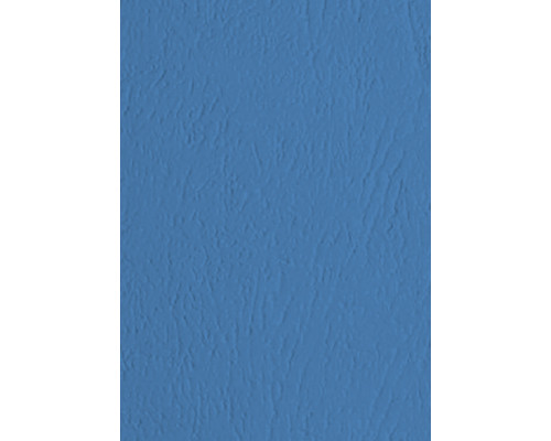 03823 Обложки для переплета, синие под кожу, A4 230гр/м2 100шт. FOROFIS 91484 (10)
