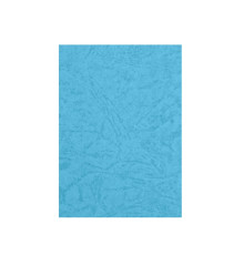 03823 Coperta p/u brosurare, imitatie piele albastru, A4 230gr/m2 FOROFIS 91484 (10)