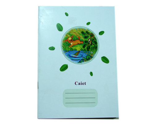 Тетрадь евро 24 листов, частая косая линия, твердая обложка P*1466 (80)