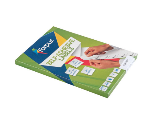 Etichete autoadezive A4 210x297mm (1/1) 100foi FOROFIS 91509 (10)