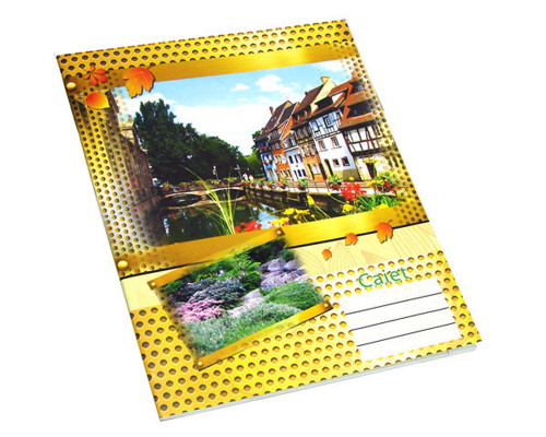 Тетрадь 24 листов картонная обложка линия P*1381 (100)