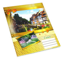 Caiet 24 file coperta carton linie P*1381 (100)