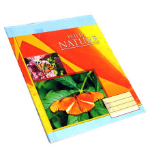 Caiet 24 file coperta carton matematica, P*1398 (100) Caiet 24 file coperta carton matematica, P*1398 (100)