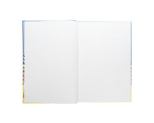 Registru pentru oficiu, A4, 80file, linie, presare micro, FR*2570 (3)