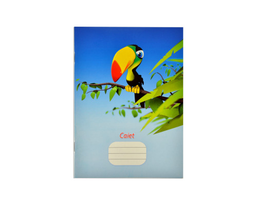 Сaiet euro 24 foi, linie punctata, coperta tare Р*1619 (80)