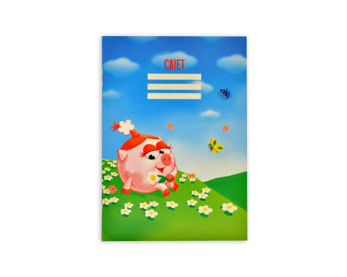 Сaiet euro 24 foi, linie punctata, coperta tare Р*1619 (80)