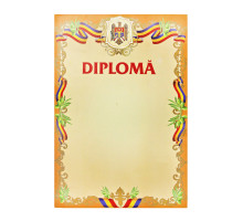 720739 Diploma А4 cu chenar oranj U02 (100)