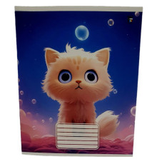 Тетрадь с твердовой обложкой 12 листов узкая линия, P*2517 (100)