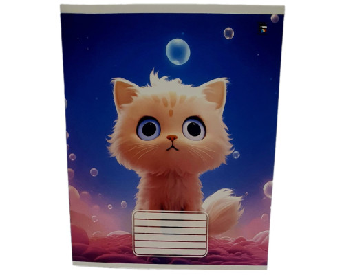 Тетрадь с твердовой обложкой 12 листов узкая линия, P*2517 (100)