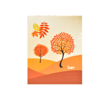 Caiet 24 file coperta carton linie oblica, P*1404 (100)