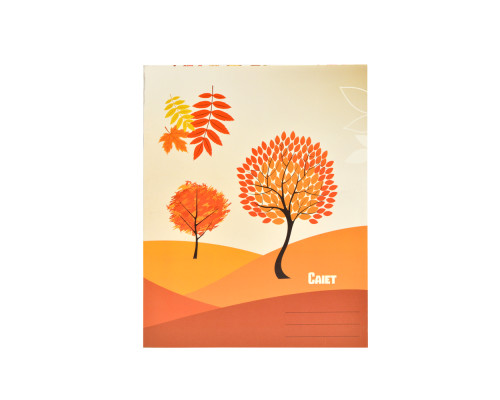 Тетрадь 24 листов картонная обложка косая линяя, P*1404 (100)