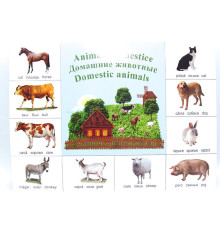 Poster animale domestice P*2135 (100)