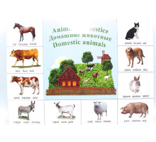 Poster animale domestice P*2135 (100)