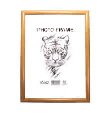 Rama foto A3 cafenie 20-01-02 CM*8276