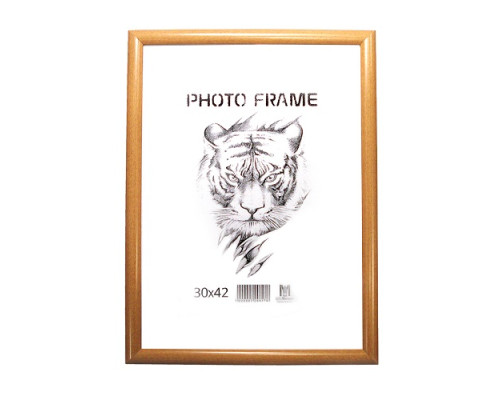 Rama foto A3 cafenie 20-01-02 CM*8276